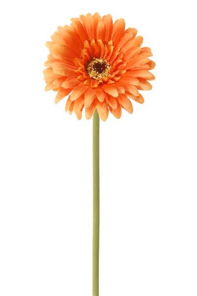 Gerbera 58 cm. Oranje Gerbera, Huis en Inrichting, Woonaccessoires | Kunstplanten en Kunstbloemen, Nieuw, Ophalen of Verzenden