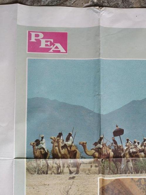 Pier Paolo Pasolini - Il Fiore Delle Mille e Una Notte - Il, Verzamelen, Film en Tv