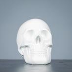 Figuur - Decoratieve witte schedel - polystone