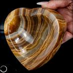 Natuurlijke aragonietschelp uit Pakistan Verbondenheid met, Verzamelen, Mineralen en Fossielen
