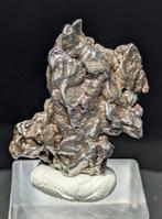 Campo del Cielo meteorite Spectaculaire vorm en veel glans.