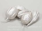 Jhinga fruit White PEARL 10 st Zaaddozen, Hobby en Vrije tijd, Knutselen, Ophalen of Verzenden, Nieuw