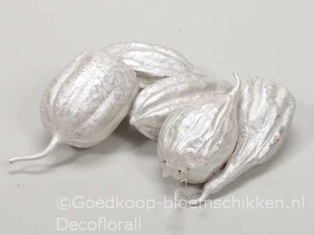 Jhinga fruit White PEARL 10 st Zaaddozen, Hobby en Vrije tijd, Knutselen, Nieuw, Ophalen of Verzenden
