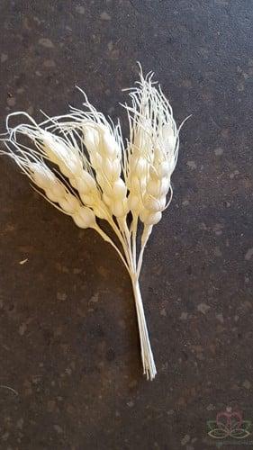 Gerst Foam Wit bundel ca. 10, Hobby en Vrije tijd, Knutselen, Nieuw, Ophalen of Verzenden