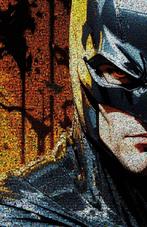 David Law - Crypto Batman V- Format XL 50x75, Antiek en Kunst