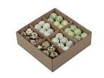 Kwarteleitjesmix pastelgroen doos 72 stuks kwartel eitjes, Nieuw, Ophalen of Verzenden