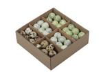 Kwarteleitjesmix pastelgroen doos 72 stuks kwartel eitjes, Hobby en Vrije tijd, Knutselen, Ophalen of Verzenden, Nieuw