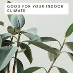 2dekans | Mill GL1000L WIFI3- WiFi-geïntegreerde glazen, Doe-het-zelf en Verbouw, Verwarming en Radiatoren, Ophalen of Verzenden
