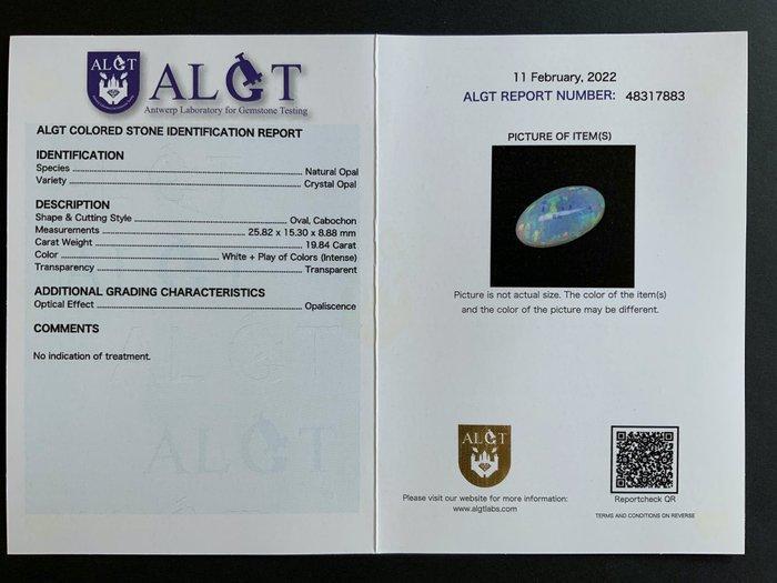 Opaal - 19.84 ct - Antwerp Laboratory for Gemstone Testing, Sieraden, Tassen en Uiterlijk, Edelstenen