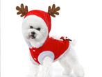 Kerst Outfit voor kleine hondjes - Kerstkleding Hond, Dieren en Toebehoren, Ophalen of Verzenden, Nieuw, Overige hondenkleding