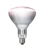 Philips Infraroodlamp E27 250W Helder warmtelamp Ø12.5cm..., Huis en Inrichting, Ophalen of Verzenden, Nieuw