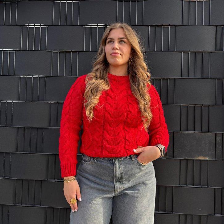 truien en vesten, Kleding | Dames, Truien en Vesten, Overige kleuren, Nieuw, Verzenden