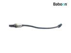 Lambda Sonde Triumph Bonneville 900 T100 2017-2019 Black, Verzenden, Gebruikt