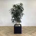 kunstplant bamboe met pot, 198 cm hoog - Gratis Bezorging, Huis en Inrichting, Kamerplanten, Ophalen of Verzenden