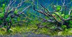 Drift wood 30-50cm ( decoratie, Hardscaping ) (decoratie), Dieren en Toebehoren, Vissen | Aquaria en Toebehoren, Verzenden, Nieuw