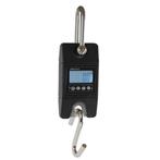 Weeghaak hangweegschaal 200kg x 100g, Verzenden, Nieuw