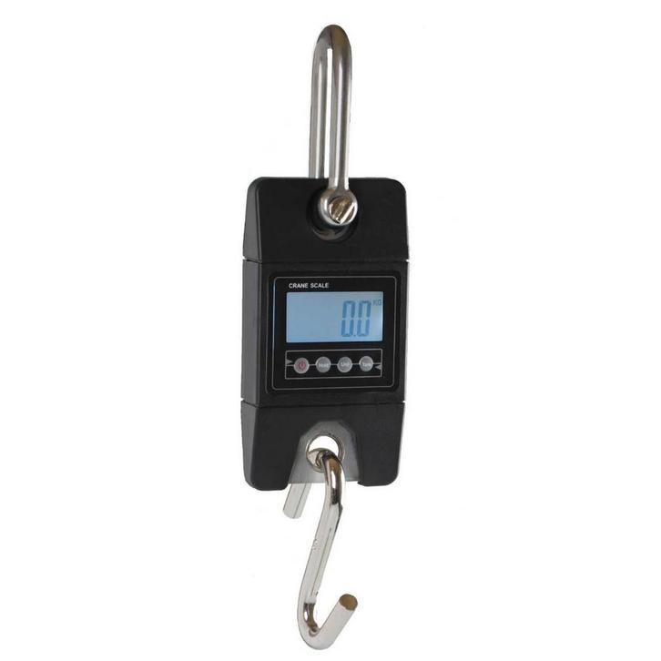 Weeghaak hangweegschaal 200kg x 100g, Doe-het-zelf en Verbouw, Weegschalen, Verzenden