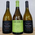 2023 Quinta Nova de Nossa Senhora do Carmo, Mirabilis Branco, Nieuw