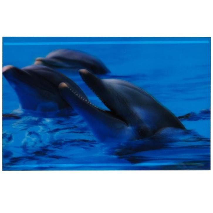 3-d poster dolfijnen NIEUW, Verzamelen, Posters, Nieuw, Ophalen of Verzenden