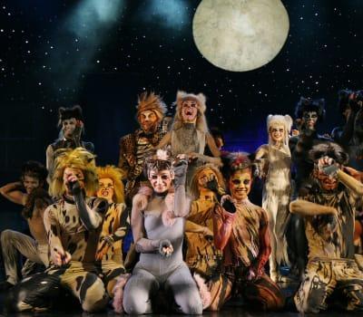 CATS Tickets Te Koop, Tickets en Kaartjes, Theater | Overige