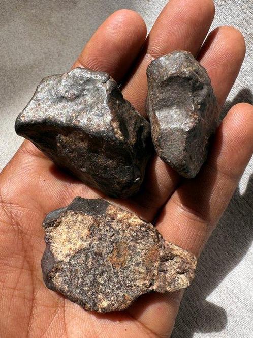 Verzameling van niet-geclassificeerde Chondriet Meteorieten, Verzamelen, Mineralen en Fossielen