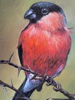 Tomasz Bednarski (1965) - Bullfinch, Antiek en Kunst, Kunst | Schilderijen | Klassiek