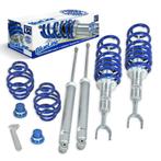Blueline Schroefset VW Passat B5 B5.5 3B/3BG RL807, Nieuw, Volkswagen