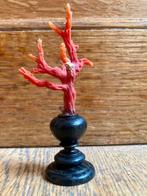 Bloedkoraal Koraal - Corallium rubrum (Zonder Minimumprijs), Antiek en Kunst, Curiosa en Brocante