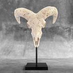 GEEN RESERVEBEDRAG - Witte ram skull op een op maat gemaakte
