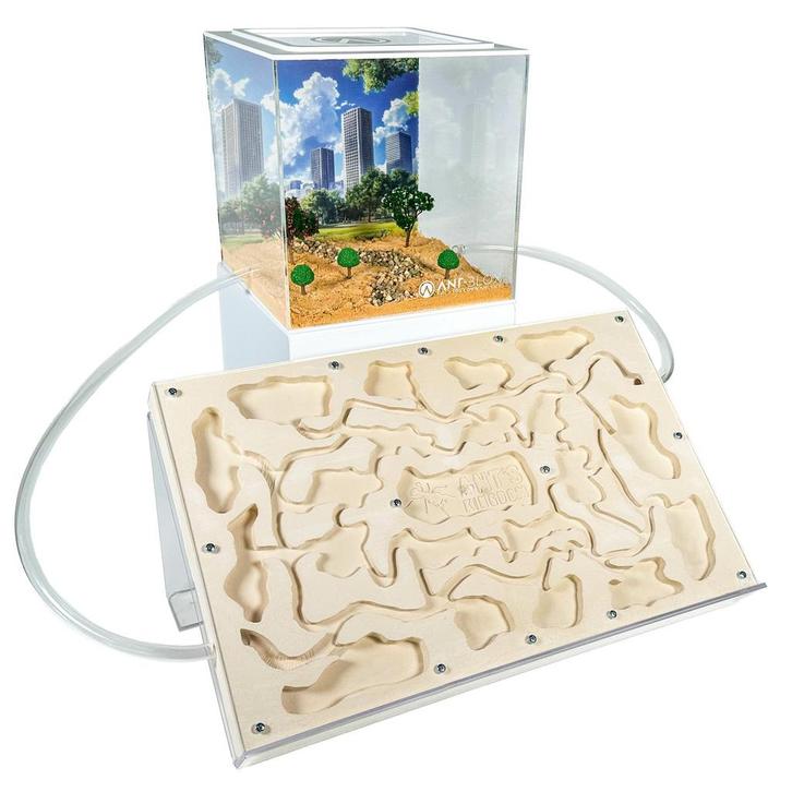 Mega Messor Set 300+ (extended version), Dieren en Toebehoren, Insecten en Spinnen