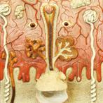 Daniel Spoerri (1930) - Volto