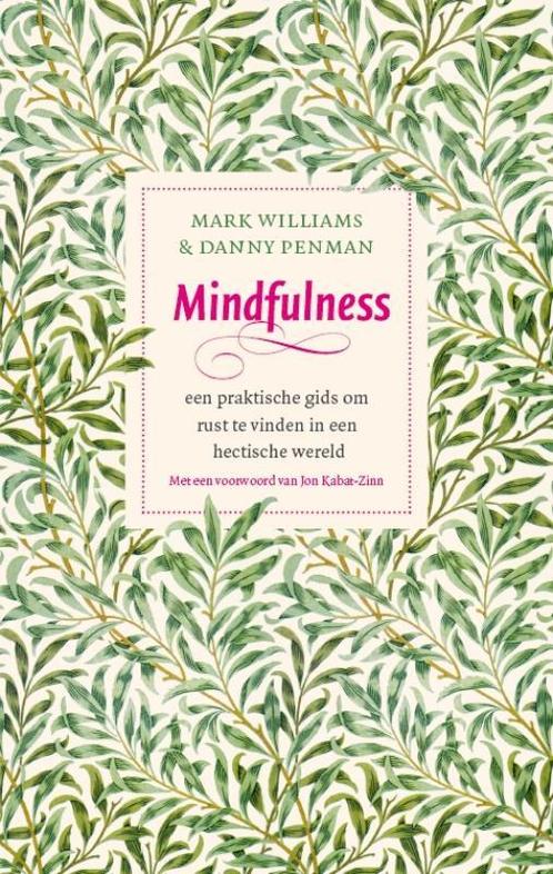 Mindfulness 9789057123412 Mark Williams, Boeken, Psychologie, Zo goed als nieuw, Verzenden