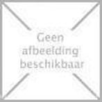 WILLIBRORD DE HAAS 9789023481157 N. Smabers, Boeken, Verzenden, Gelezen, N. Smabers