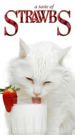 cd box - Strawbs (SEALED) - A Taste Of Strawbs, Cd's en Dvd's, Verzenden, Zo goed als nieuw