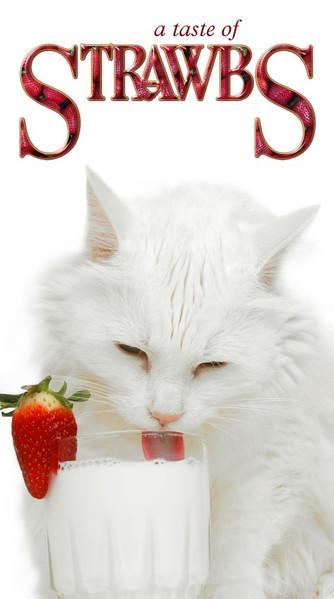 cd box - Strawbs (SEALED) - A Taste Of Strawbs, Cd's en Dvd's, Cd's | Pop, Zo goed als nieuw, Verzenden