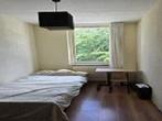Huis Giekerkstraat in Tilburg, Overige soorten, Noord-Brabant