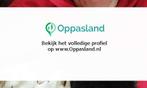 Ik ben Silvia, 37 jaar oud en ik zoek oppaswerk in Dronten.