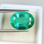 Smaragd - 8.31 ct - International Gemological Institute, Sieraden, Tassen en Uiterlijk, Edelstenen, Nieuw