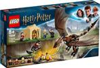 LEGO Harry Potter Hongaarse Hoornstaart Toverschool Toernooi, Kinderen en Baby's, Speelgoed | Duplo en Lego, Zo goed als nieuw