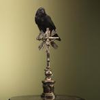 Kraai op Kruis Taxidermie Opgezette Dieren By Max, Ophalen of Verzenden, Nieuw, Vogel, Opgezet dier
