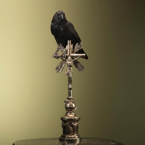 Kraai op Kruis Taxidermie Opgezette Dieren By Max, Verzamelen, Dierenverzamelingen, Opgezet dier, Nieuw, Vogel, Ophalen of Verzenden