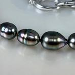 Halsketting Zilver Parel - Tahiti multi Ø9,1x11,10MM, Nieuw