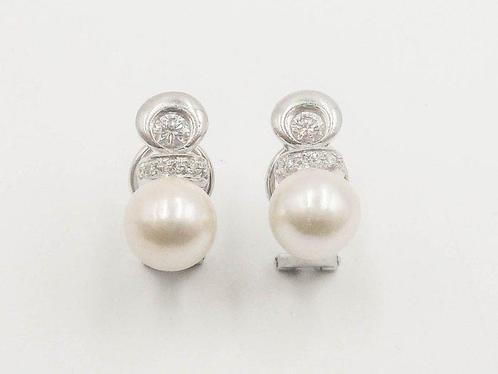 Oorbellen - 18 karaat Witgoud Parel - Diamant, Sieraden, Tassen en Uiterlijk, Oorbellen