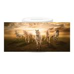 Spaarpot - Paarden Appaloosa als Groep Sunset NIEUW, Ophalen of Verzenden, Nieuw