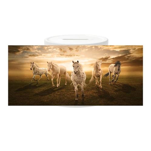Spaarpot - Paarden Appaloosa als Groep Sunset NIEUW, Verzamelen, Spaarpotten, Nieuw, Ophalen of Verzenden