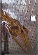 Naturalis - Naturalis, Boeken, Kunst en Cultuur | Fotografie en Design, Ophalen of Verzenden, Nieuw