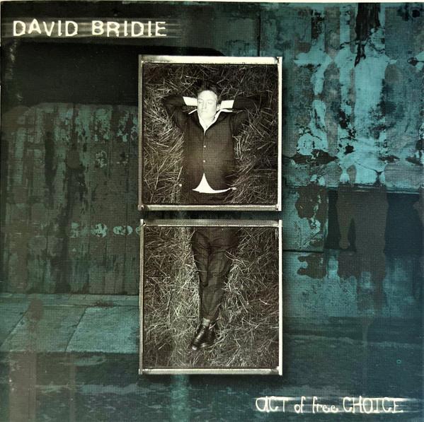 cd - David Bridie - Act Of Free Choice, Cd's en Dvd's, Cd's | Overige Cd's, Zo goed als nieuw, Verzenden