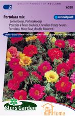 Portulaca Dubbelbloemig Gemengd Zaden, Dubbelbloemige, Tuin en Terras, Verzenden