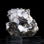 Hexagonale calciet op pyriet – zeldzame formatie - Hoogte: