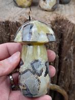 Prachtige handgeslepen Septarie (Drakensteen) paddenstoelen